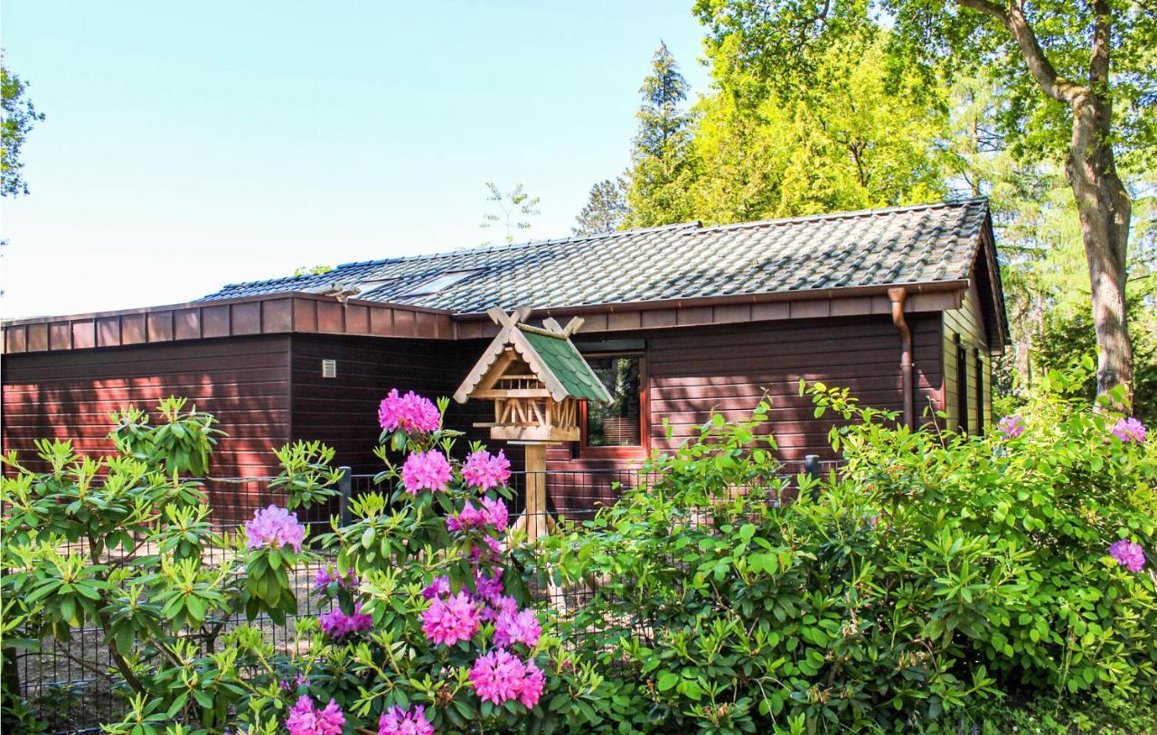 Pet Friendly Home In Haren With Sauna 但肯 外观 照片